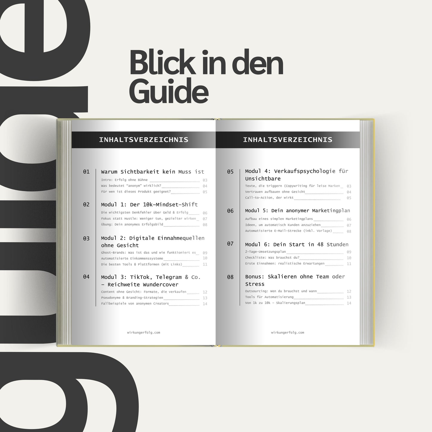 Anonym zu 10K – Verdiene online, ohne dein Gesicht zu zeigen